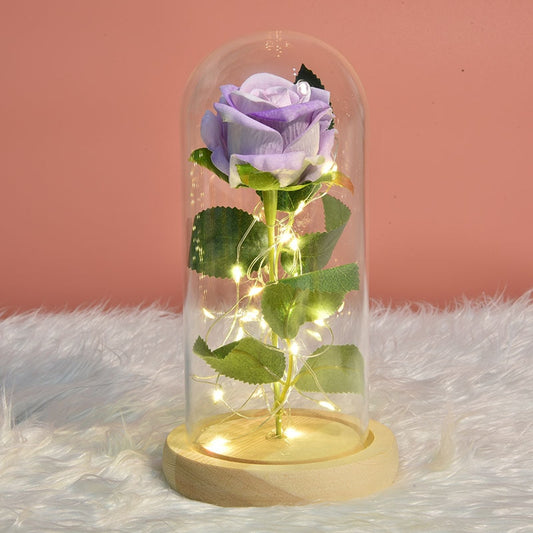 Romantic Eternal Light Rose Flower